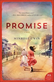 Promise : A Novel cover image