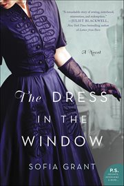 The Dress in the Window : A Novel cover image