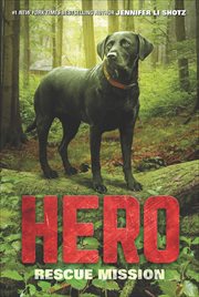 Hero : Rescue Mission cover image