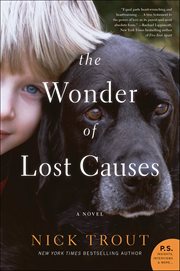 The Wonder of Lost Causes : A Novel cover image