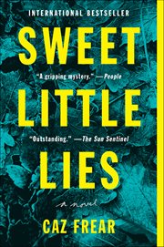 Sweet Little Lies : A Suspenseful Mystery. Cat Kinsella Novels cover image