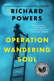 Operation Wandering Soul : A Novel cover image