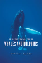 The Cultural Lives of Whales and Dolphins cover image