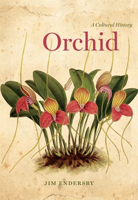 Cover image for Orchid