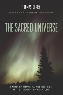 Cover image for The Sacred Universe