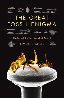 Cover image for The Great Fossil Enigma