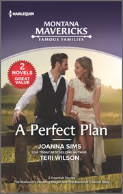 A Perfect Plan cover image