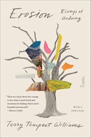 Erosion : Essays of Undoing cover image