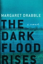 The Dark Flood Rises : A Novel cover image