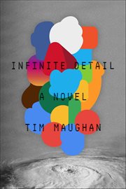 Infinite Detail : A Novel cover image