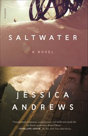 Saltwater : A Novel cover image