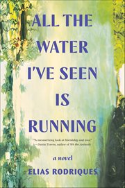 All the Water I've Seen Is Running cover image