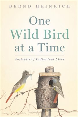Cover image for One Wild Bird at a Time