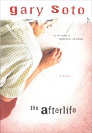 The Afterlife : A Novel cover image