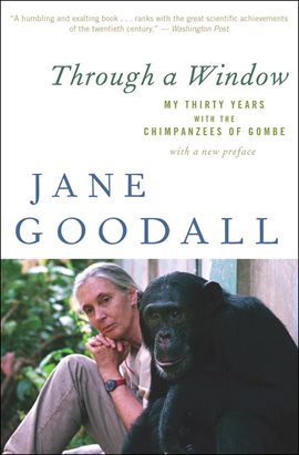 Cover image for Through a Window