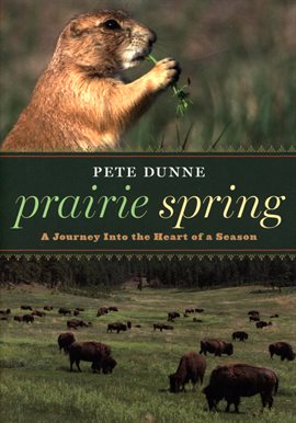 Cover image for Prairie Spring