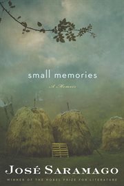 Small memories cover image