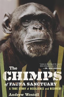 Cover image for The Chimps of Fauna Sanctuary