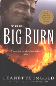 The Big Burn cover image