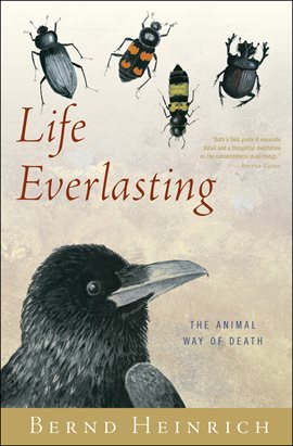 Cover image for Life Everlasting