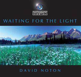 Cover image for Waiting for the Light