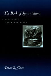 The Book of Lamentations : a meditation and translation cover image