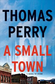 A small town : a novel cover image