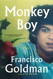 Monkey boy : a novel cover image