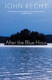 After the blue hour : a true fiction cover image