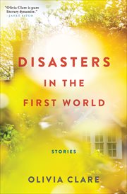 Disasters in the first world : stories cover image