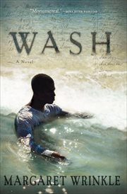 Wash : a novel cover image