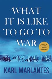 What it is like to go to war cover image