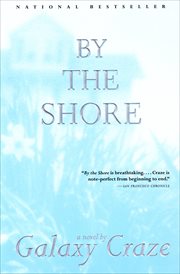By the shore : a novel cover image