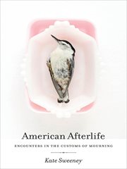 American afterlife : encounters in the customs of mourning cover image