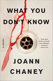What You Don't Know : A Novel cover image