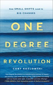 One Degree Revolution : How Small Shifts Lead to Big Changes cover image