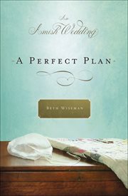 A Perfect Plan cover image