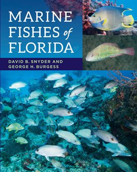 Cover image for Marine Fishes of Florida