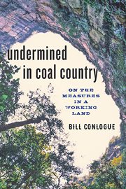Undermined in coal country : on the measures in a working land cover image