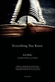 Everything You Know : A Novel cover image