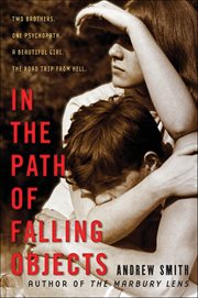In the Path of Falling Objects cover image