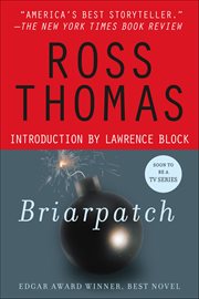 Briarpatch : A Novel cover image