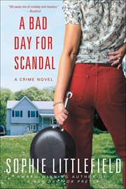 A Bad Day for Scandal : A Crime Novel cover image