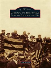 Chicago to Springfield : Crime and Politics in the 1920s cover image