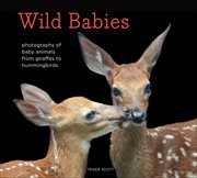 Wild babies : photographs of baby animals from giraffes to hummingbirds cover image