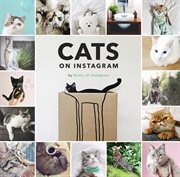 Cats on instagram cover image