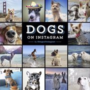 Dogs on instagram cover image
