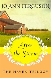 After the Storm cover image