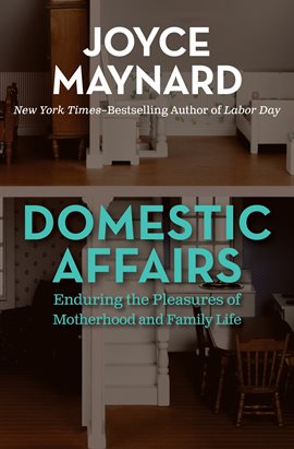 Cover image for Domestic Affairs