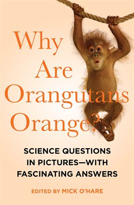 Cover image for Why Are Orangutans Orange?